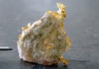 Orinoco Gold: Positive Daten von der Goldmine Cascavel