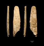 Neandertaler schufen die ersten Spezialwerkzeuge Europas aus Knochen