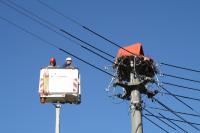 Umgebauter Strommast als neues Zuhause für Oettinger Störche