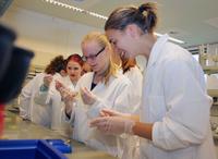 Internationale Forschergruppe im Schülerlabor