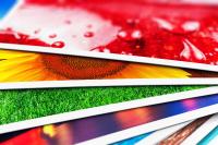 Bildausgabe gewinnt weiter an Marktbedeutung