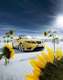 Saab Cabrio: Kultauto mit über 20 Jahren Tradition