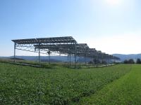 Auf Ackerflächen doppelt ernten: Leitfaden zur Agri-Photovoltaik erschienen