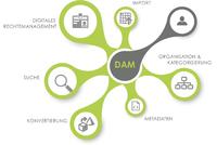 Führende Digital-Asset-Management-Experten gründen DAM United