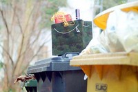 Warnung vor falschen Müllmännern