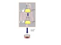 BioTeSys – 10 Jahre Analyse- und Forschungs-dienstleistung für biologische Wirkungen (Teil 5)