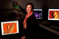 JPK berichtet über die Verwendung von Atomic Force Microscopy (AFM) und Einzel-Zell-Kraft-Spektroskopie (SCFS) am Interdisciplinary Nanoscience Center der Aarhus Universität in Dänemark