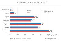 EU-Sonnenblumen: höhere Erträge kompensieren kleinere Anbaufläche