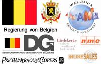 Finanzielle Anreize und Investitionsbeihilfen für den Geschäftsaufbau in Belgien und der Wallonie