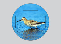 Die Natur im Blick - das Bild „im Kasten"