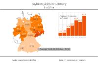 Soybean yields on a sharp rise