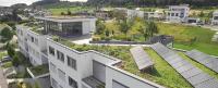 Wie Gründächer mit DRAINROOF als Wasserlösung den Immobilienwert steigern