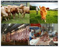 artec technologies AG: Lösung für datenschutzkonforme Videoüberwachung in der Fleischindustrie