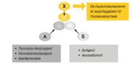 Styrol-Copolymere: Der Kautschuk macht den Unterschied