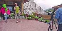 Frische Farben und Laufende Bilder