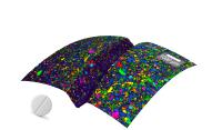 TrueSurface - The Original Topographic Raman Imaging System, Redefined