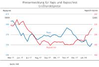 Gegenläufige Preisentwicklung bei Raps und Rapsschrot