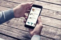 Baumarktbranche ditgital: hmmh veröffentlicht Whitepaper für erfolgreiche Produkt-Content-Strategien