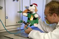 Die wichtigsten Tipps für den Spielzeug-Weihnachtseinkauf