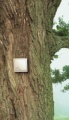ZigBee: Der Wireless-Standard für Energiebewusste
