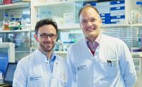 Protein UBQLN4 beeinflusst DNA-Reparatur