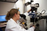 JPK berichtet über die aktuellen Forschungsaktivitäten von Dr. Jochen Guck und seinem Team an den Universitäten Dresden & Cambridge