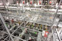 WITRON-Tiefkühl-Technologie für bereits vierten Mercadona-Standort