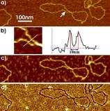 JPK reports on how graphenes are being studied using AFM to better characterize their properties at the Humboldt University in Berlin