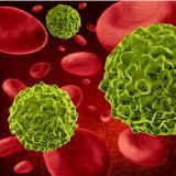 PD-1 Inhibitor Screening Assay Kit (155)