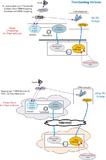 Flintec Telefon-Integration mittels Tromboning für das Open Source CRM-System vTiger