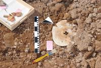Schallplatte schon fast 2.000 Jahre alt?