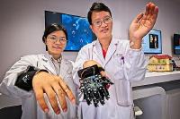 NTU Singapur und Max-Planck-Institut für Kolloid- und Grenzflächenforschung, Potsdam eröffnen Versuchslabor für "Künstliche Sinne"