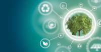 ParkHere wird CO2-neutral
