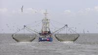 AIS and M2M Protect Against IUU Fishing by Small Vessels