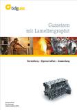 BDG-Sonderheft: Gusseisen mit Lamellengraphit
