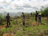 Favini renews its commitment to Madagascar Reforestation and Environmental Protection
