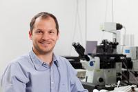 Der Evolution ins Auge blicken - Blick ins Auge der Evolution