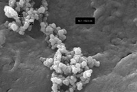 Nanotechnologie für die nächste Generation von Medizinprodukten