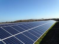 BayWa r.e. stellt Solarpark Forest Heath in Großbritannien fertig