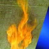 Baulicher Brandschutz sorgt für Sicherheit im eigenen Haus