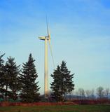 Niederösterreich auf der EWEA 2013 stark vertreten