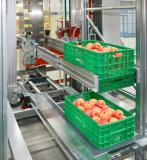 Mercadona: Vollautomatische WITRON-Lösung für Flow Through-Logistik