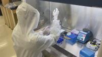 Approval for COVID-19 Human Test - Tentamus Japan Laboratories