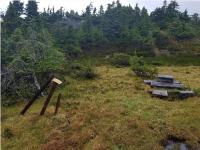 Skeena und White Gold glänzen mit hervorragenden Bohrergebnissen