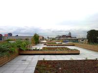 Europas größter Urban-Farming-Dachgarten mit PROGEO-Monitoringsystem