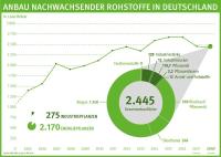 Anbau nachwachsender Rohstoffe in Deutschland: Rapsanbau für Biodiesel geht zurück