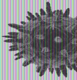 Bestimmung der Anreicherung von Krebs-Biomarkern in Exosomen