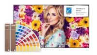 EuroShop 2020: BenQ zeigt Stretch- und Large-Format-Displays mit Pantone-Zertifizierung