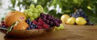 Weltweites Tracking für frisches Obst und Gemüse