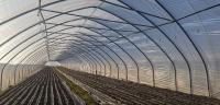 Reparatietape voor foliekassen van ETFE